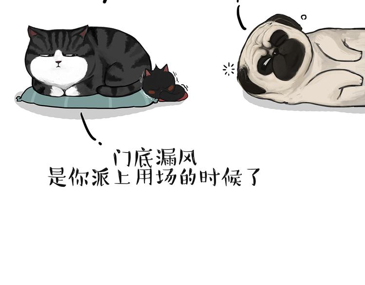 《吾皇巴扎黑》漫画最新章节第51话 猫和狗的待遇就是不同免费下拉式在线观看章节第【23】张图片