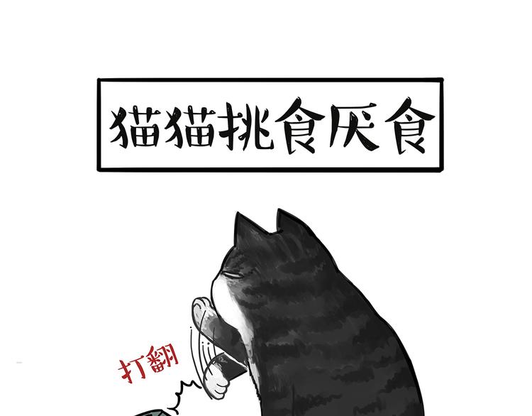 《吾皇巴扎黑》漫画最新章节第51话 猫和狗的待遇就是不同免费下拉式在线观看章节第【28】张图片