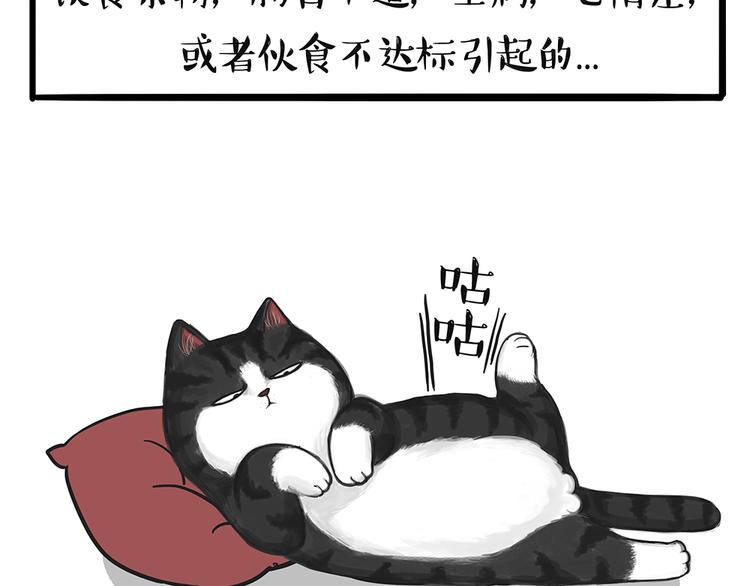 《吾皇巴扎黑》漫画最新章节第51话 猫和狗的待遇就是不同免费下拉式在线观看章节第【30】张图片