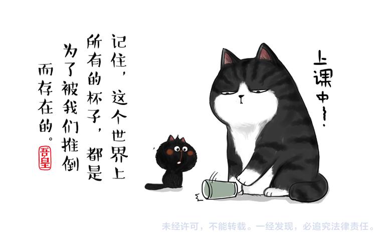 《吾皇巴扎黑》漫画最新章节第51话 猫和狗的待遇就是不同免费下拉式在线观看章节第【37】张图片