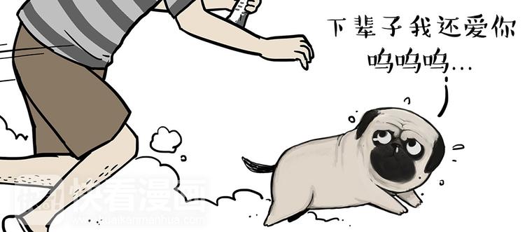 《吾皇巴扎黑》漫画最新章节第52话 宠物的使命免费下拉式在线观看章节第【15】张图片