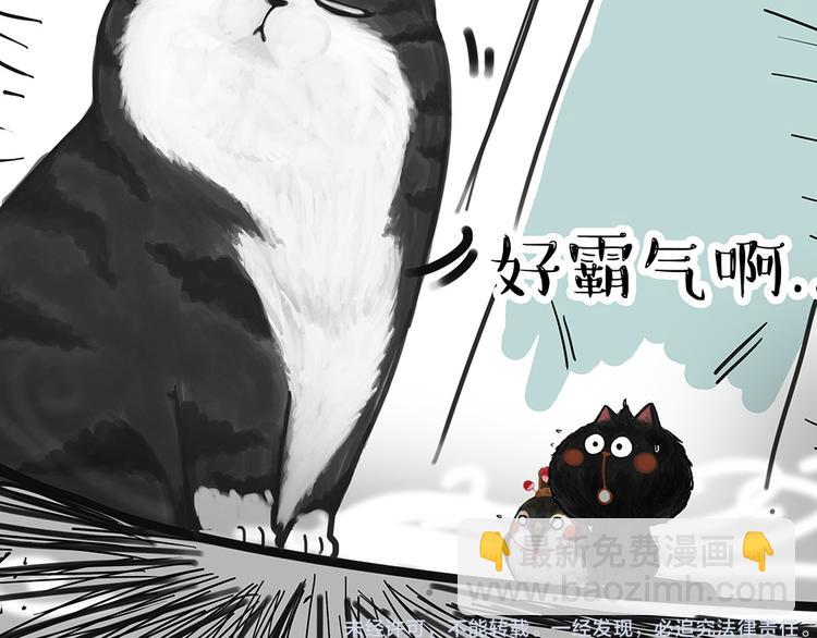 《吾皇巴扎黑》漫画最新章节第53话 宠物的压力免费下拉式在线观看章节第【10】张图片