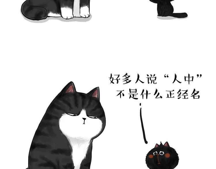 【吾皇巴扎黑】漫画-（第53话 宠物的压力）章节漫画下拉式图片-2.jpg
