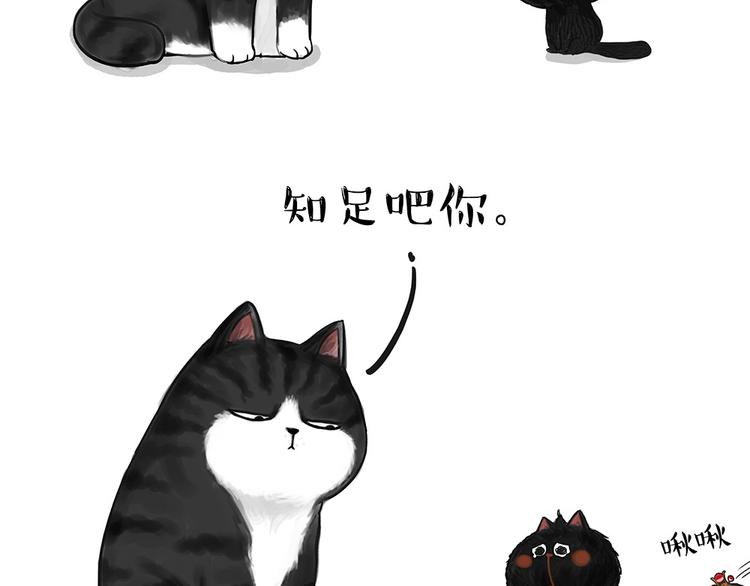 【吾皇巴扎黑】漫画-（第53话 宠物的压力）章节漫画下拉式图片-3.jpg