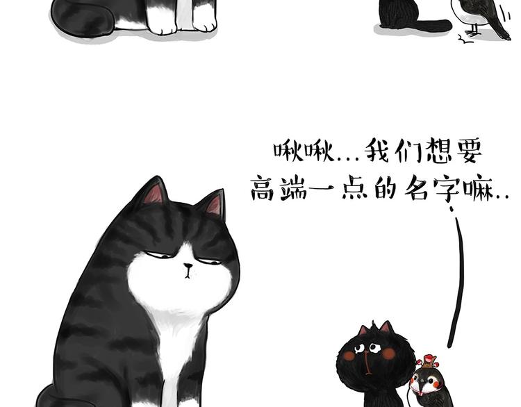 【吾皇巴扎黑】漫画-（第53话 宠物的压力）章节漫画下拉式图片-5.jpg