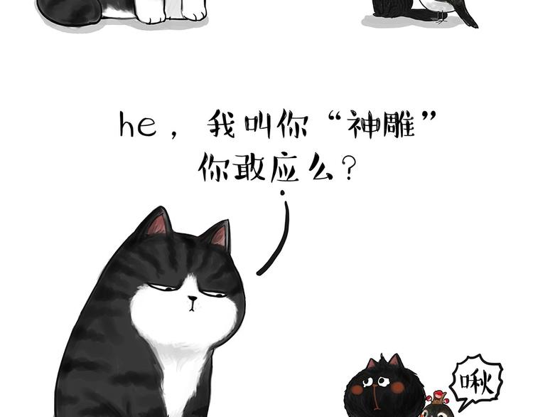 【吾皇巴扎黑】漫画-（第53话 宠物的压力）章节漫画下拉式图片-6.jpg