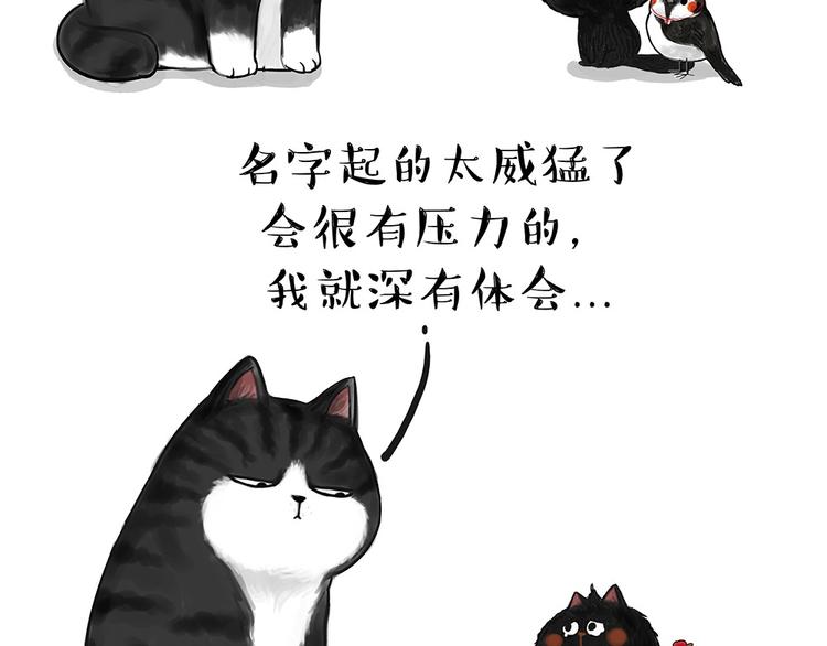 【吾皇巴扎黑】漫画-（第53话 宠物的压力）章节漫画下拉式图片-7.jpg