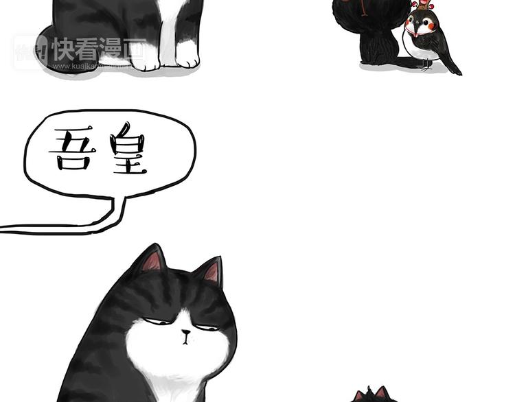 【吾皇巴扎黑】漫画-（第53话 宠物的压力）章节漫画下拉式图片-8.jpg