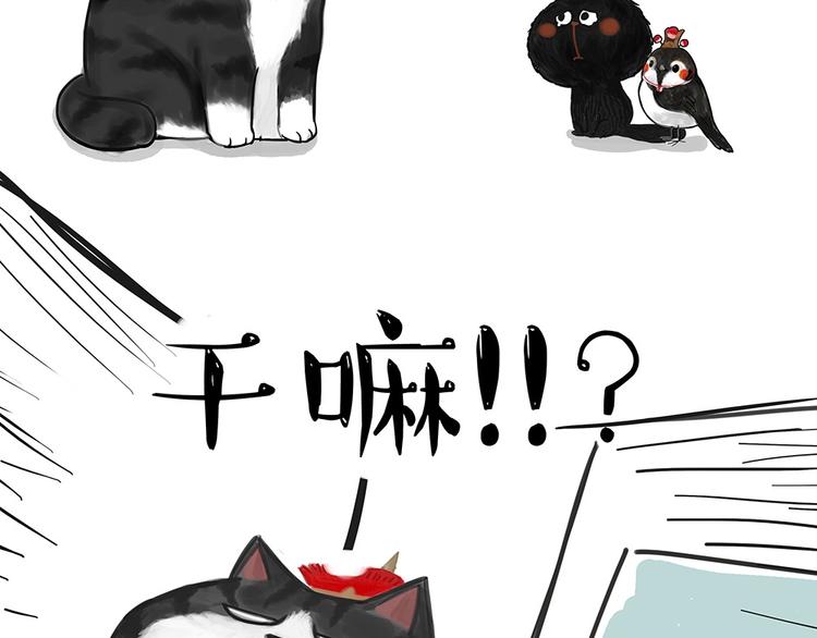 【吾皇巴扎黑】漫画-（第53话 宠物的压力）章节漫画下拉式图片-9.jpg