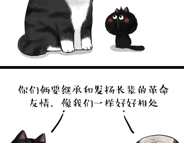 《吾皇巴扎黑》漫画最新章节第57话 宠物太粘人是什么体验免费下拉式在线观看章节第【12】张图片