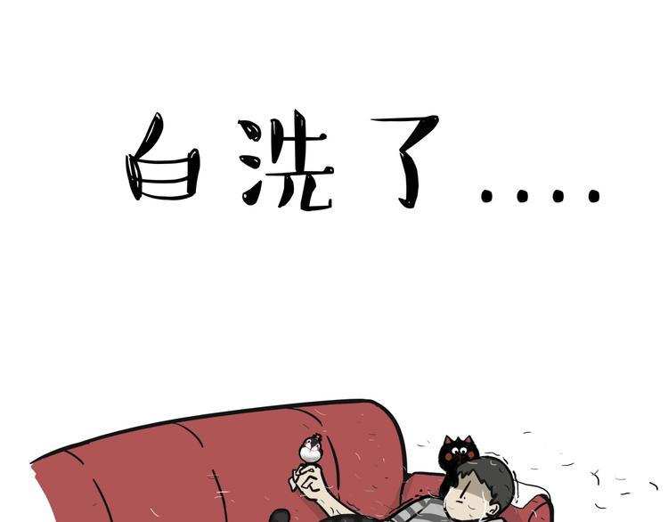 《吾皇巴扎黑》漫画最新章节第57话 宠物太粘人是什么体验免费下拉式在线观看章节第【8】张图片