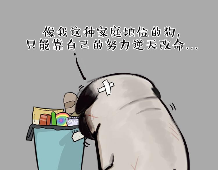 【吾皇巴扎黑】漫画-（第65话 钓鱼执法）章节漫画下拉式图片-17.jpg