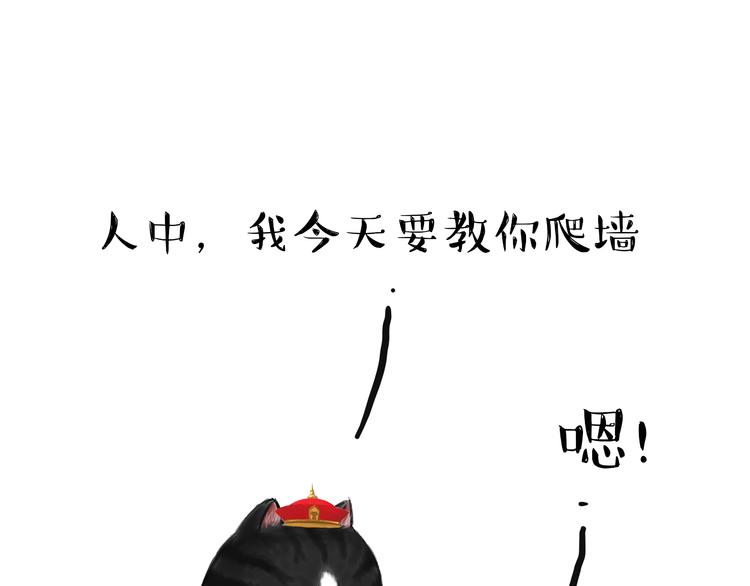 《吾皇巴扎黑》漫画最新章节第66话 骨骼惊奇免费下拉式在线观看章节第【12】张图片