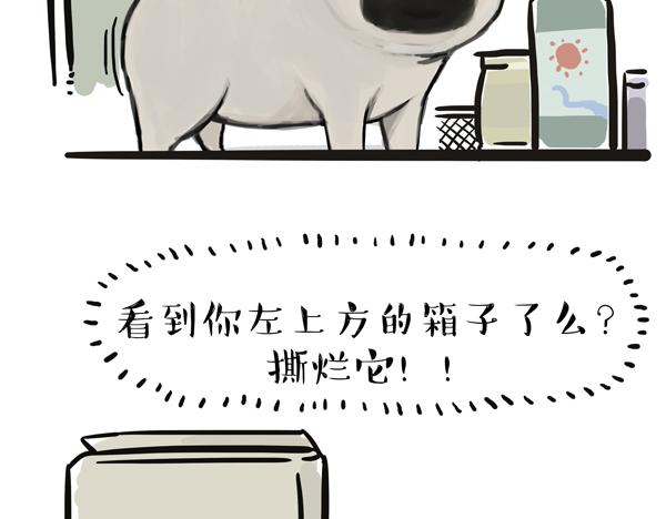 《吾皇巴扎黑》漫画最新章节第67话 告诉你一个小秘密免费下拉式在线观看章节第【19】张图片