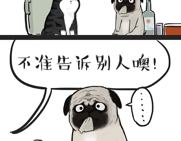 《吾皇巴扎黑》漫画最新章节第67话 告诉你一个小秘密免费下拉式在线观看章节第【36】张图片