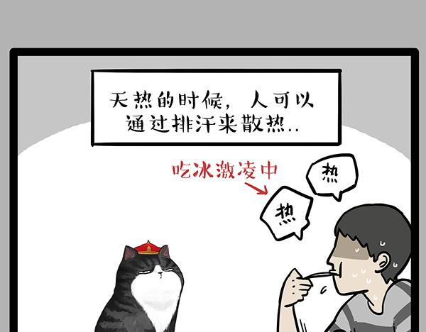 《吾皇巴扎黑》漫画最新章节第70话 掉毛免费下拉式在线观看章节第【9】张图片