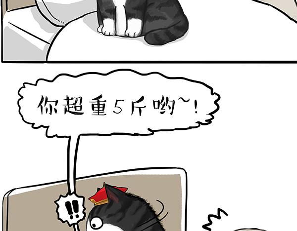 《吾皇巴扎黑》漫画最新章节第73话 你才是肥仔嘞免费下拉式在线观看章节第【16】张图片