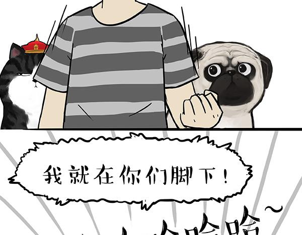 《吾皇巴扎黑》漫画最新章节第73话 你才是肥仔嘞免费下拉式在线观看章节第【24】张图片