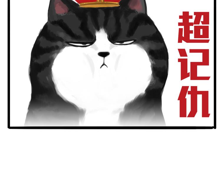 【吾皇巴扎黑】漫画-（第74话 猫主子送的也敢扔）章节漫画下拉式图片-6.jpg