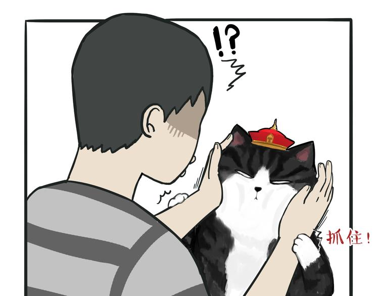 《吾皇巴扎黑》漫画最新章节第75话 猫奴被嫌弃了免费下拉式在线观看章节第【3】张图片