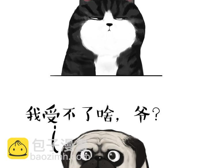 《吾皇巴扎黑》漫画最新章节第75话 猫奴被嫌弃了免费下拉式在线观看章节第【7】张图片