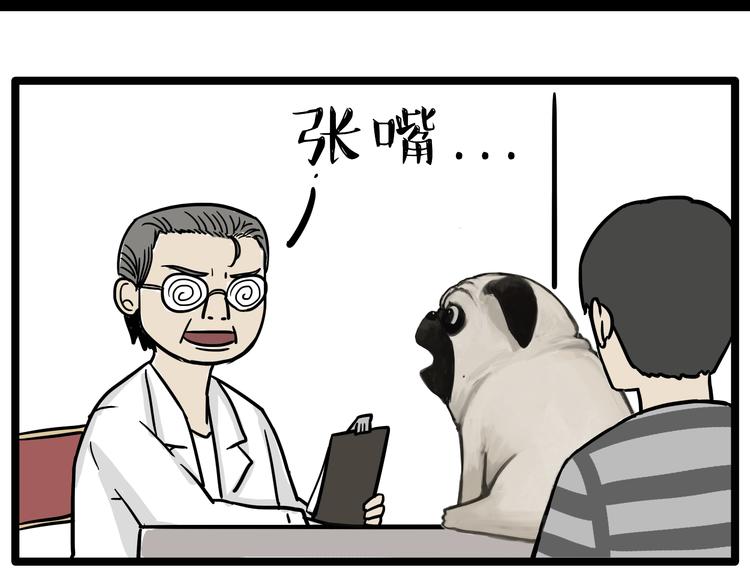 《吾皇巴扎黑》漫画最新章节第78话 带宠物看病（上）免费下拉式在线观看章节第【10】张图片