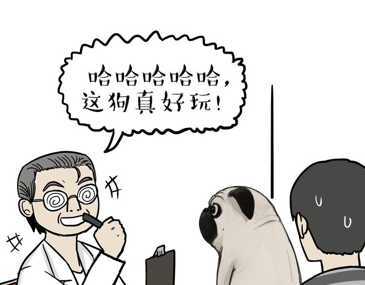 《吾皇巴扎黑》漫画最新章节第78话 带宠物看病（上）免费下拉式在线观看章节第【14】张图片