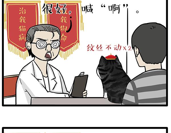 《吾皇巴扎黑》漫画最新章节第78话 带宠物看病（上）免费下拉式在线观看章节第【3】张图片