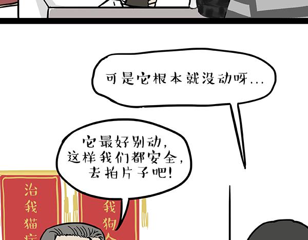 《吾皇巴扎黑》漫画最新章节第78话 带宠物看病（上）免费下拉式在线观看章节第【7】张图片