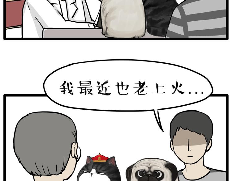 《吾皇巴扎黑》漫画最新章节第79话 带宠物看病（下）免费下拉式在线观看章节第【10】张图片