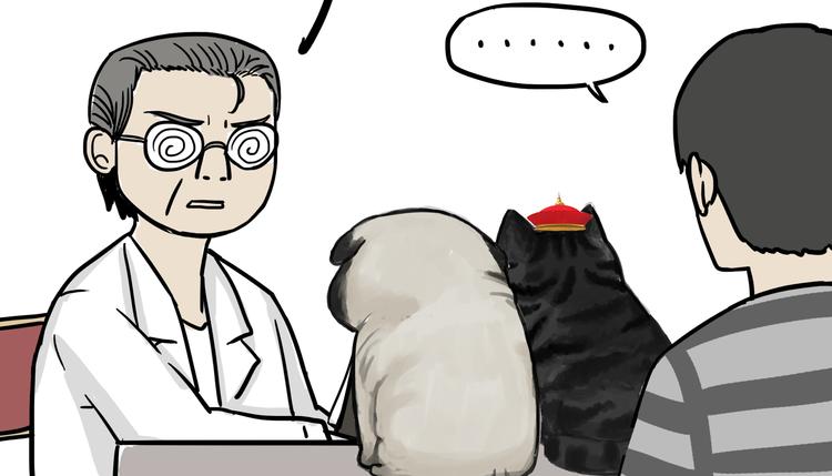 《吾皇巴扎黑》漫画最新章节第79话 带宠物看病（下）免费下拉式在线观看章节第【14】张图片