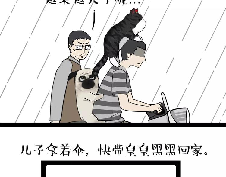 《吾皇巴扎黑》漫画最新章节第89话 亲情免费下拉式在线观看章节第【3】张图片