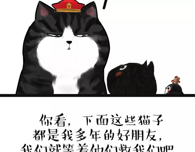 《吾皇巴扎黑》漫画最新章节第90话 上树下树免费下拉式在线观看章节第【49】张图片