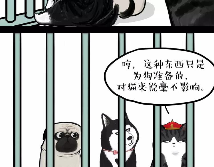 《吾皇巴扎黑》漫画最新章节第93话 越狱免费下拉式在线观看章节第【8】张图片