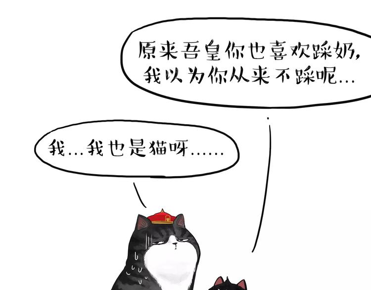 《吾皇巴扎黑》漫画最新章节第95话 一辈子在一起免费下拉式在线观看章节第【13】张图片