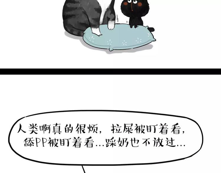 《吾皇巴扎黑》漫画最新章节第95话 一辈子在一起免费下拉式在线观看章节第【14】张图片