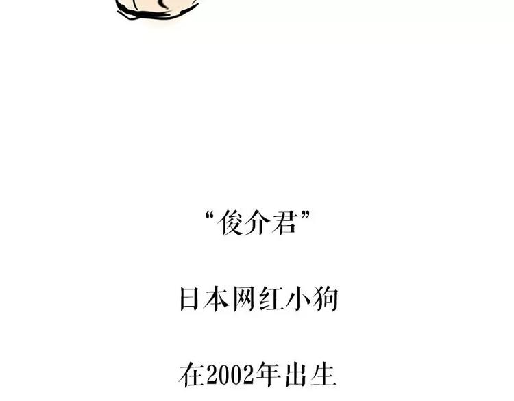 《吾皇巴扎黑》漫画最新章节第95话 一辈子在一起免费下拉式在线观看章节第【37】张图片