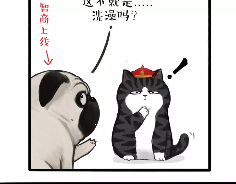 《吾皇巴扎黑》漫画最新章节第98话 洗澡（上）免费下拉式在线观看章节第【13】张图片