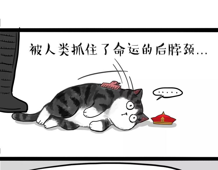 《吾皇巴扎黑》漫画最新章节第99话 洗澡（下）免费下拉式在线观看章节第【18】张图片