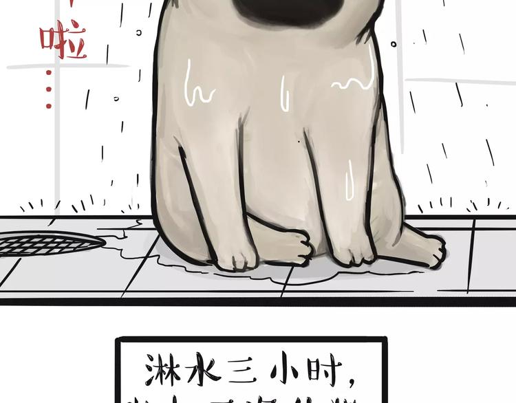 《吾皇巴扎黑》漫画最新章节第100话 生病的烦恼免费下拉式在线观看章节第【18】张图片