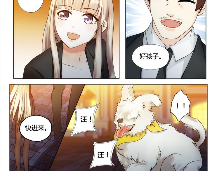 《先婚后宠小娇妻》漫画最新章节第3话 二小姐的狗免费下拉式在线观看章节第【35】张图片