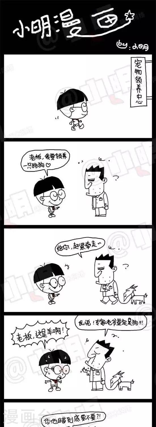 小明漫画-第十九话  专家篇——指鹿为马全彩韩漫标签