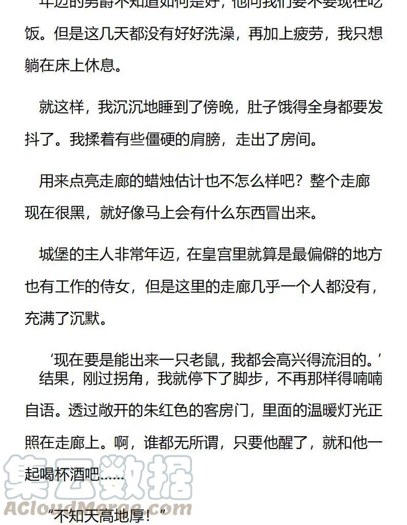 《小说版穿越成公爵家的女仆》漫画最新章节特别篇二（十）免费下拉式在线观看章节第【3】张图片