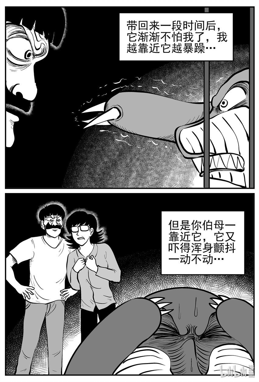 《小智怪谈》漫画最新章节013-1 它3（5）免费下拉式在线观看章节第【18】张图片