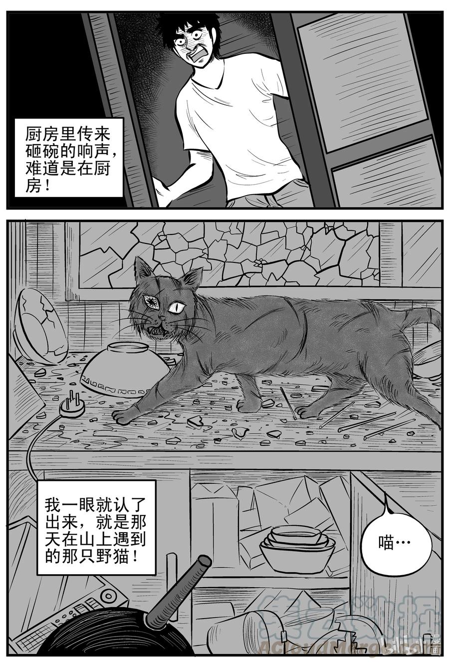 《小智怪谈》漫画最新章节163 猫免费下拉式在线观看章节第【10】张图片