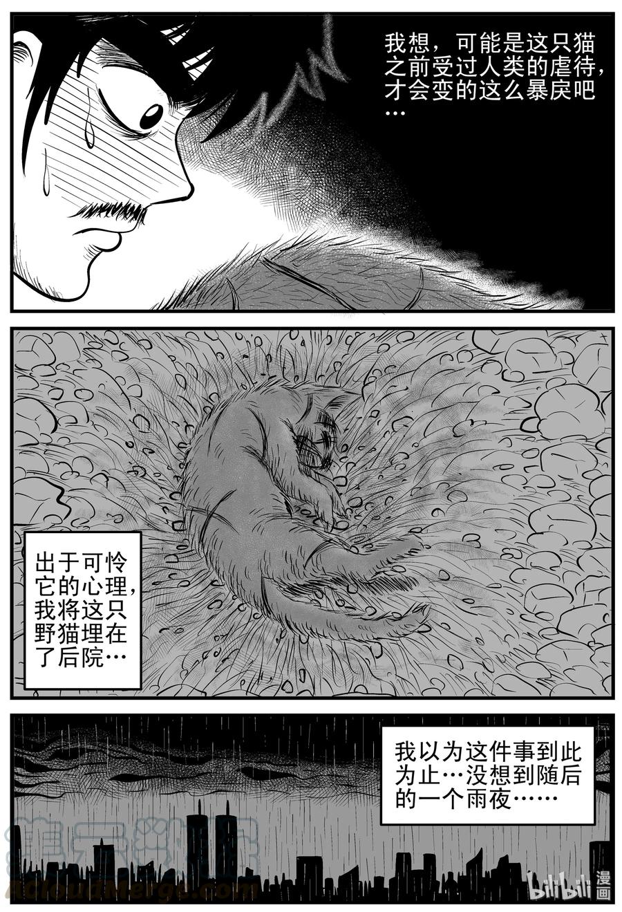 《小智怪谈》漫画最新章节163 猫免费下拉式在线观看章节第【16】张图片