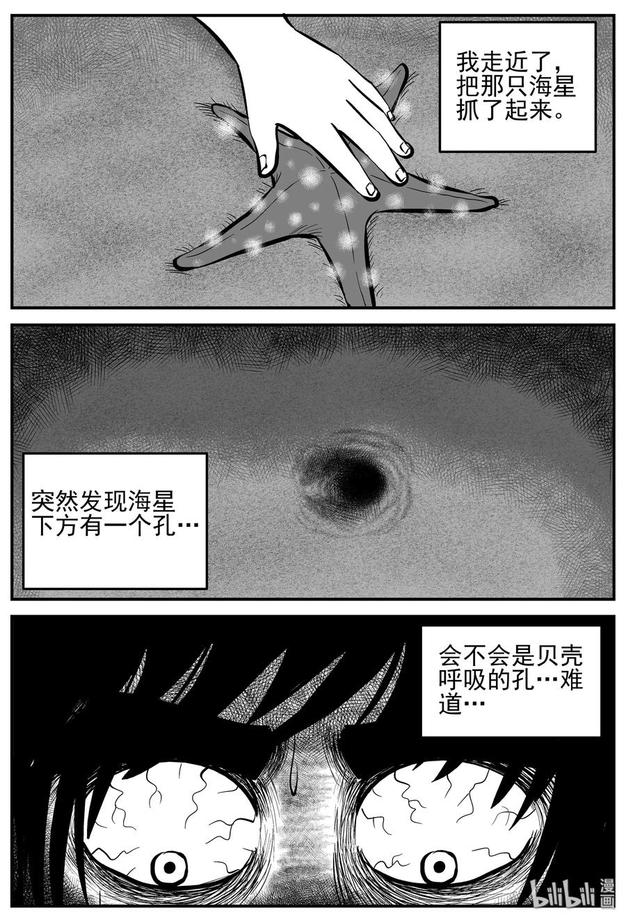 《小智怪谈》漫画最新章节229 海螺湾奇谈（4）免费下拉式在线观看章节第【8】张图片