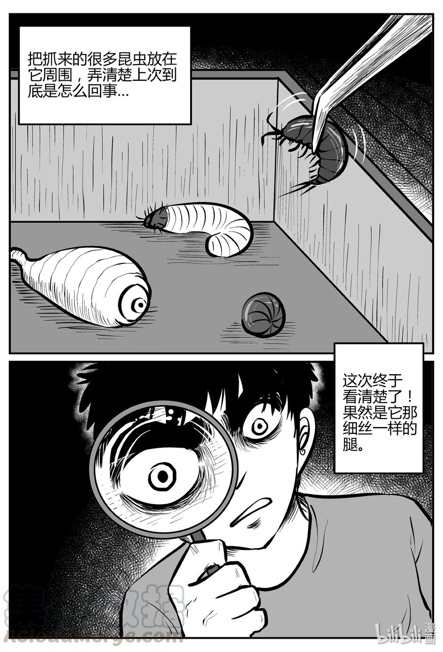 《小智怪谈》漫画最新章节307 寄生虫（5）免费下拉式在线观看章节第【13】张图片