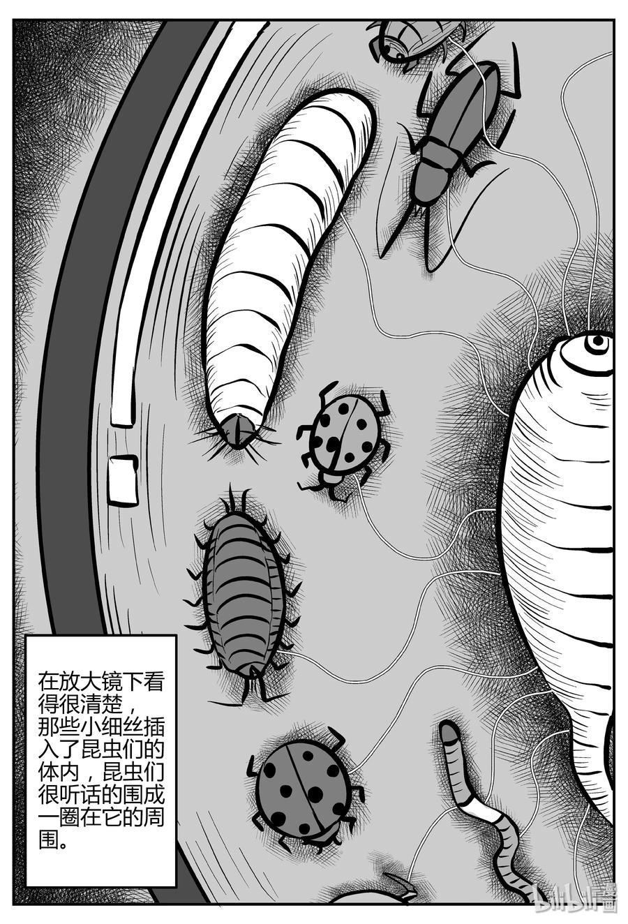 《小智怪谈》漫画最新章节307 寄生虫（5）免费下拉式在线观看章节第【14】张图片