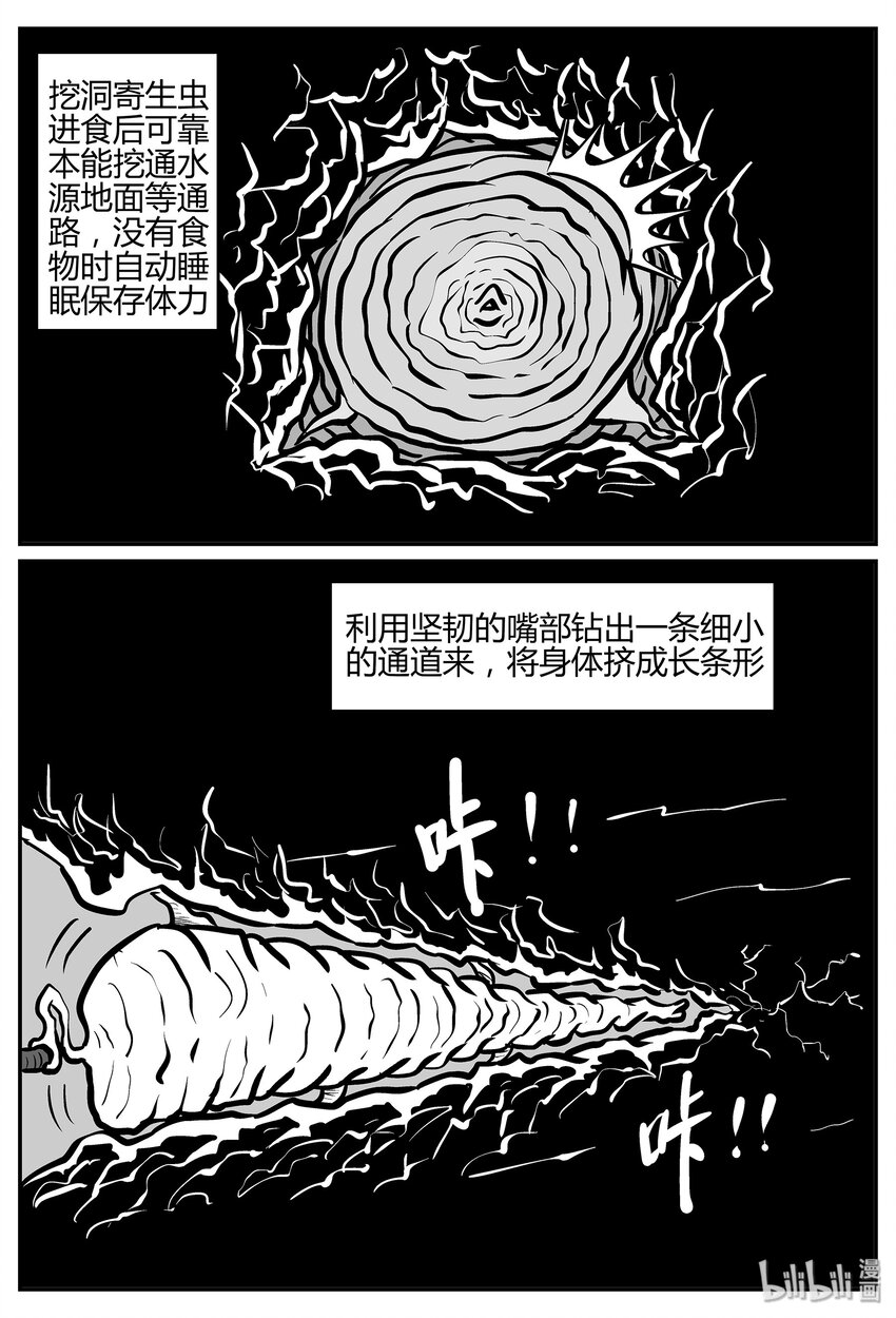 《小智怪谈》漫画最新章节038 它：源（6）免费下拉式在线观看章节第【7】张图片